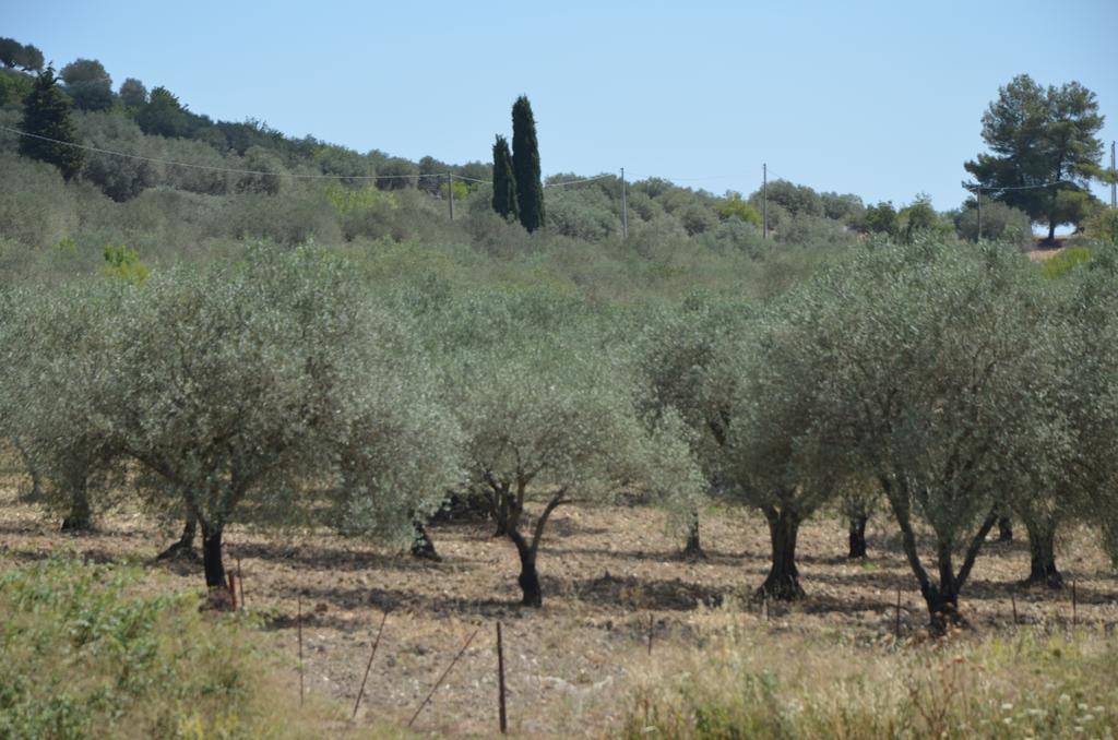 Le Case Di S. Andrea Buccheri Extérieur photo